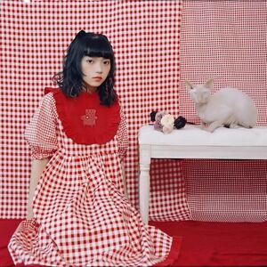 MEUGLER x The Wizard Of OZ red gingham plaid sofa embroidery midi dress Jfashion